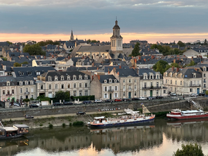Traitement punaises de lit Angers